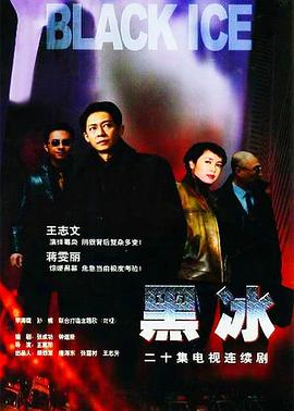 黑冰王志文版第09集
