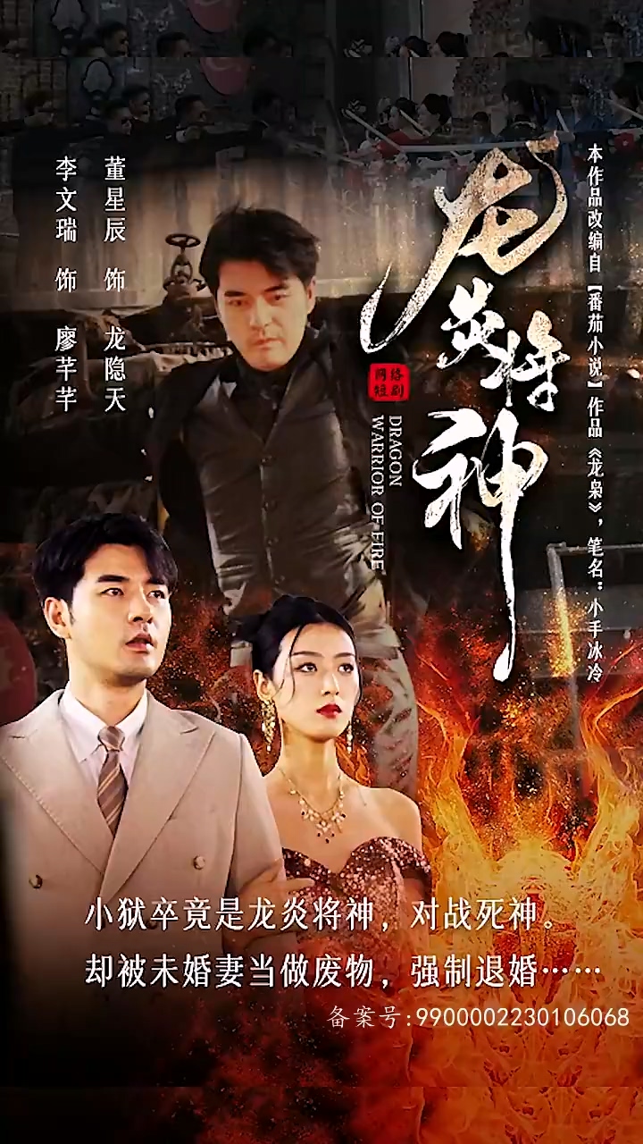 龙炎将神第10集