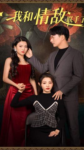 我和情敌联手了全集(大结局)