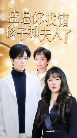 盛总你找错孩子和夫人了全集(大结局)