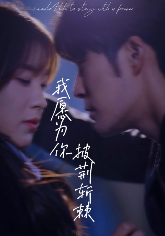 我愿为你披荆斩棘全集(大结局)