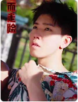 铤而走险$步步高升(全集)