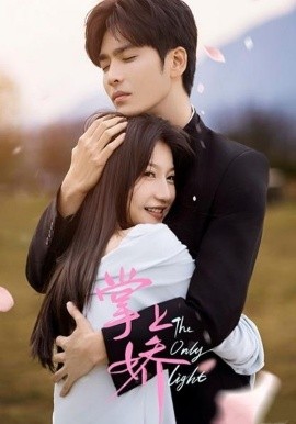 掌上娇全集(大结局)