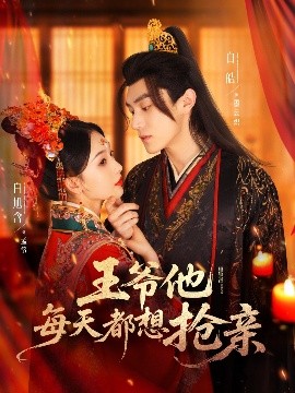王爷他每天都想抢亲全集(大结局)