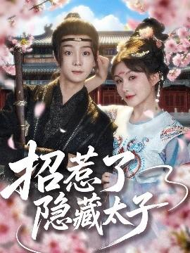 招惹了隐藏太子全集(大结局)