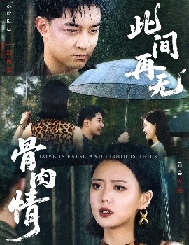 此间再无骨肉情全集(大结局)