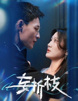 妄折枝全集(大结局)