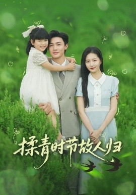 揉青时节故人归全集(大结局)