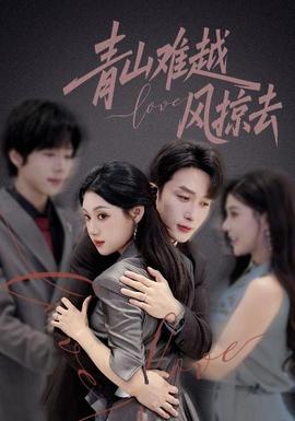 青山难越风掠去全集(大结局)