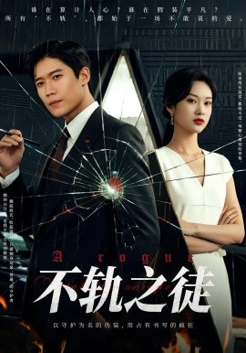 不轨之徒全集(大结局)