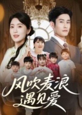 风吹麦浪遇见爱全集(大结局)