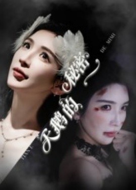 天鹅的秘密全集(大结局)