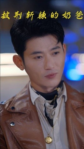 披荆斩棘的奶爸全集(大结局)