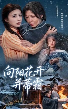 向阳花开并蒂霜全集(大结局)