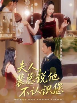 夫人裴总说他不认识您全集(大结局)