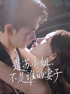 是苏小姐不是谁的妻子全集(大结局)