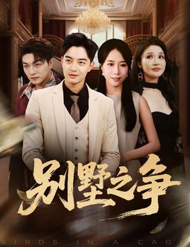 别墅之争全集(大结局)