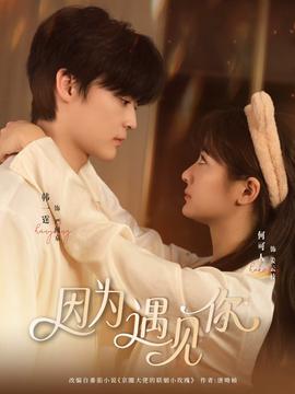 因为遇见你全集(大结局)