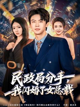 民政局分手，我闪婚了女总裁全集(大结局)