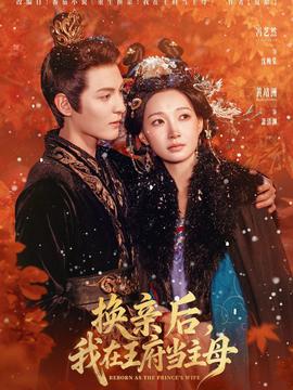 换亲后，我在王府当主母全集(大结局)