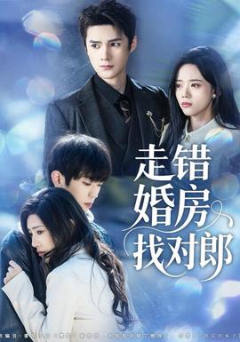 走错婚房找对郎全集(大结局)