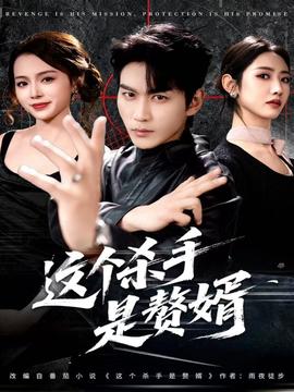 这个杀手是赘婿全集(大结局)