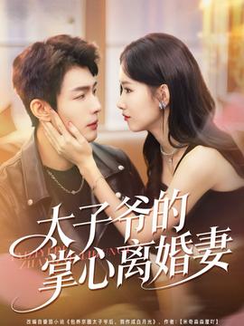 太子爷的掌心离婚妻全集(大结局)